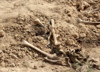 Truth commission criticized for selective exhumation of mass graves